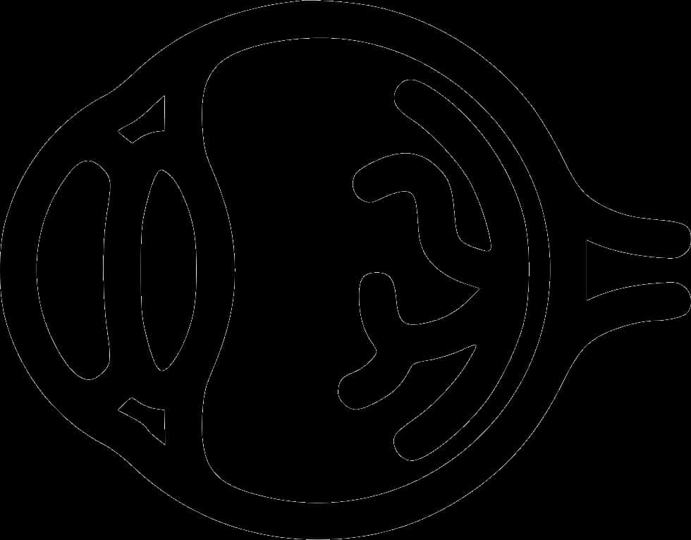 Anatomical Eye Diagram Outline