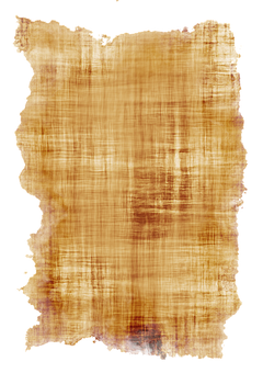 Ancient Scroll Texture