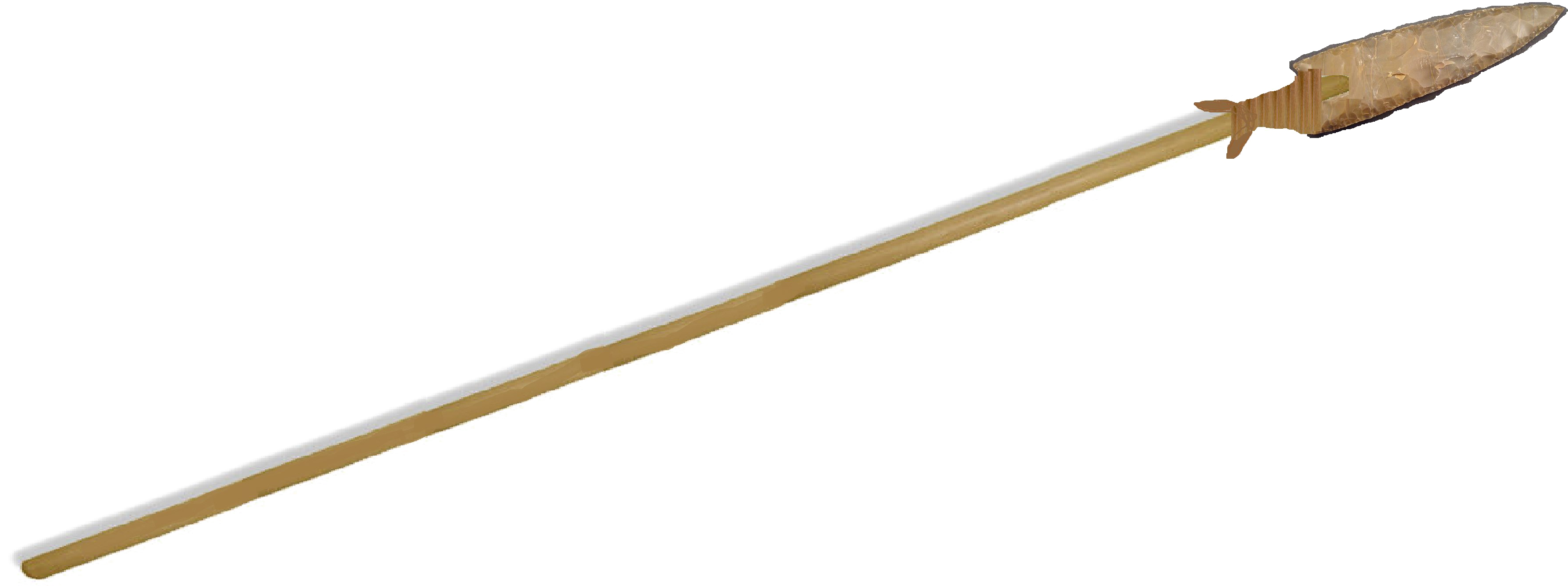 Ancient Wooden Spearwith Stone Tip.png