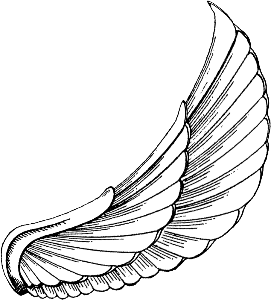 Angel Wing Tattoo Design