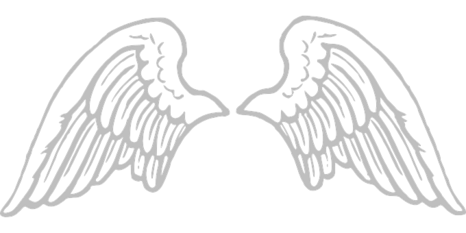 Angel Wings Graphic Black Background