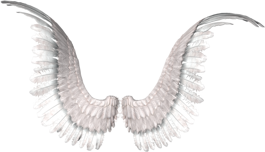 Angel Wings Spread Out