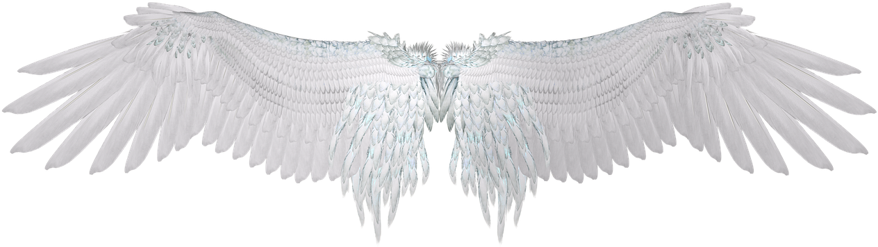 Angel Wings Spread White Feathers