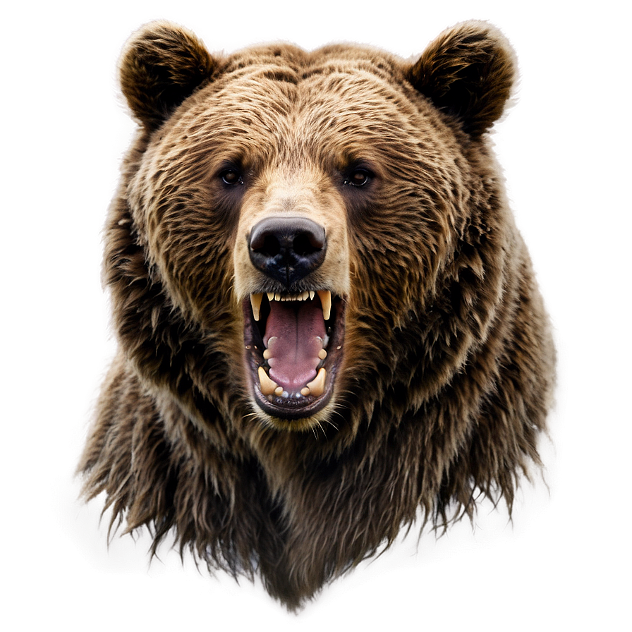 Angry Bear Png Ert89