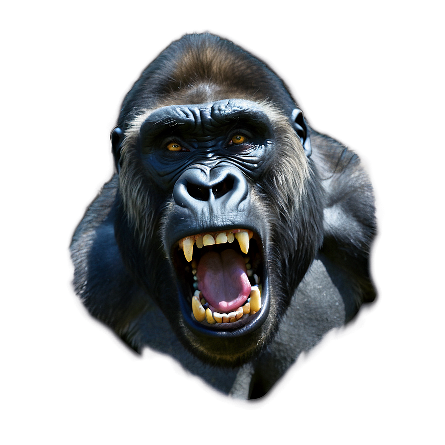 Angry Gorilla Growling Png 06252024