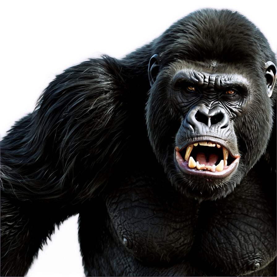 Angry Gorilla Growling Png Rwk