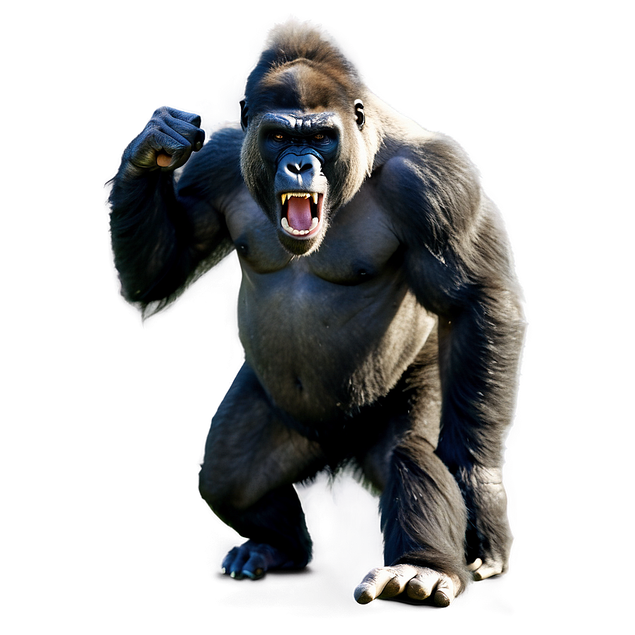 Angry Gorilla In Action Png 76