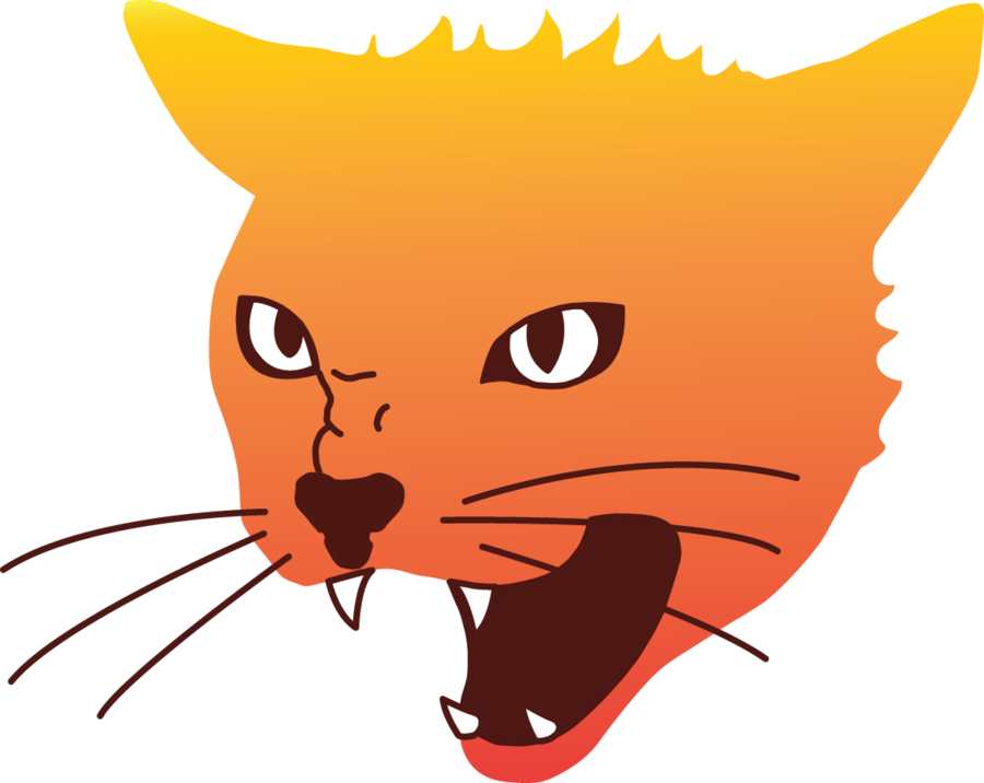 Angry Orange Cat Cartoon