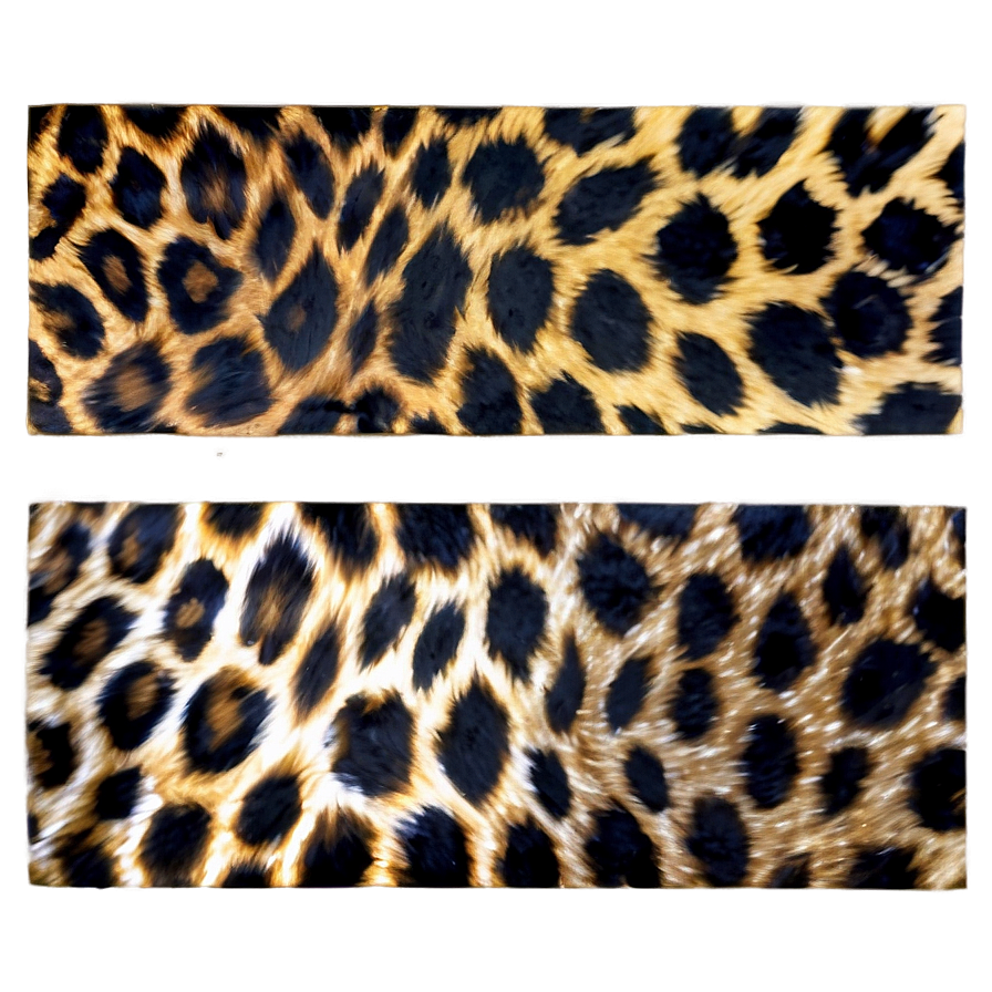 Animal Print Art Png Gpj