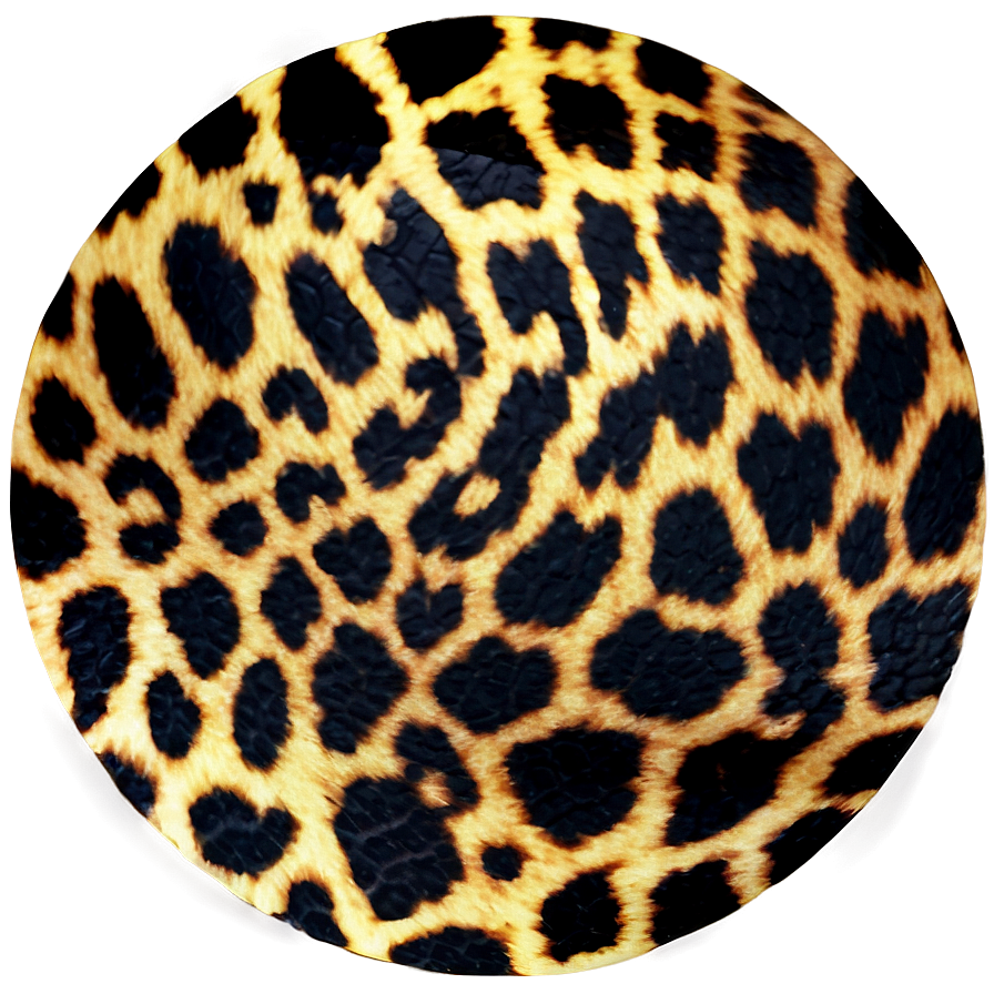 Animal Print Patterns Png 06212024