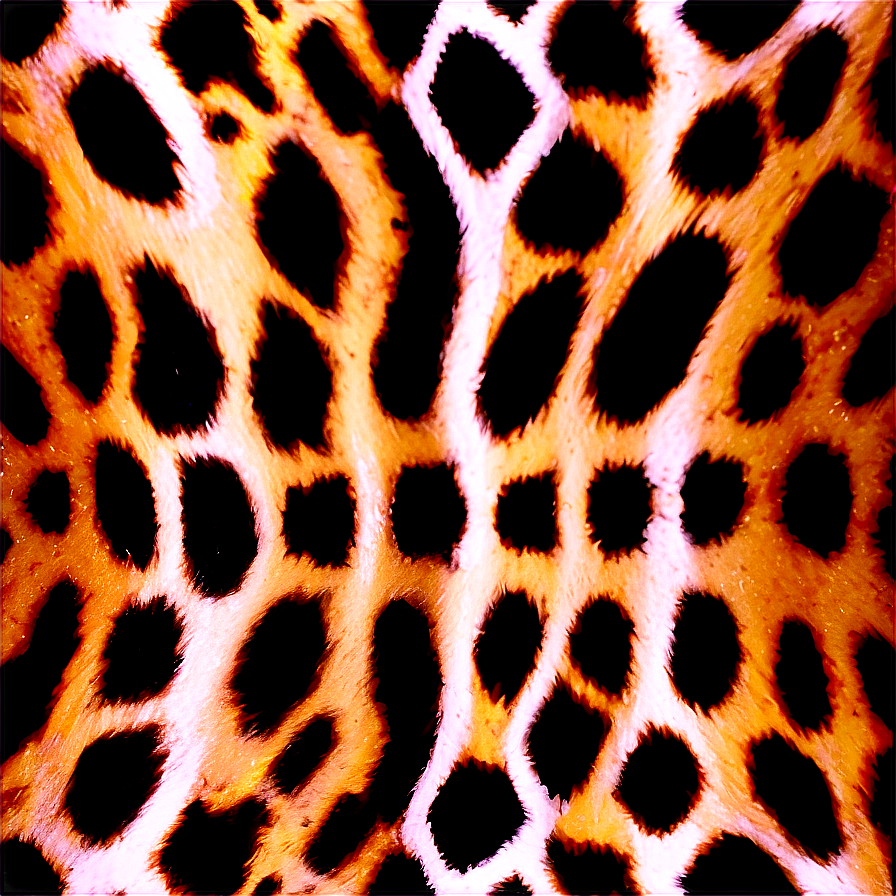 Animal Print Square Png 06252024