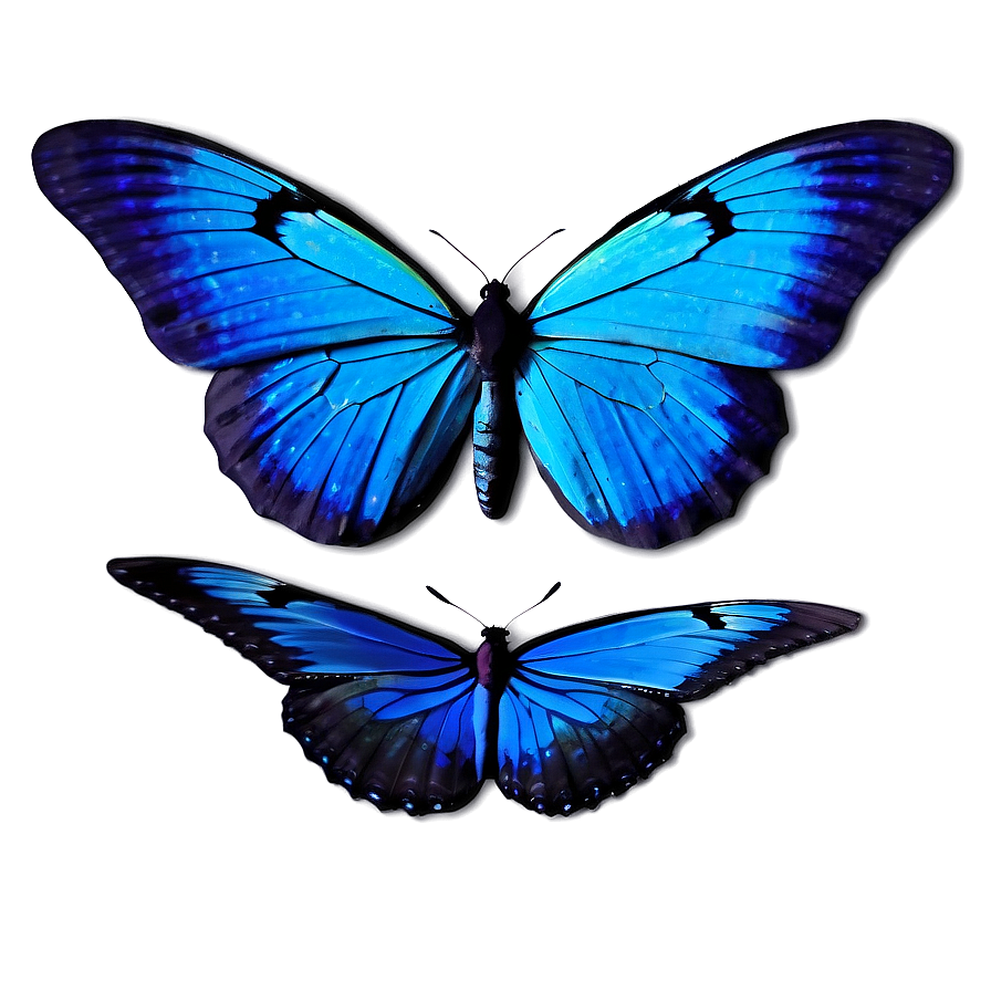 Animated Blue Butterflies Png Sem51