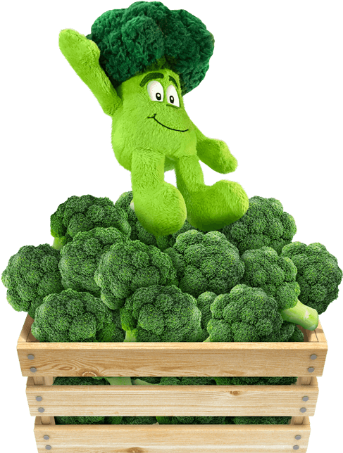 Animated Broccoli Characterin Crate