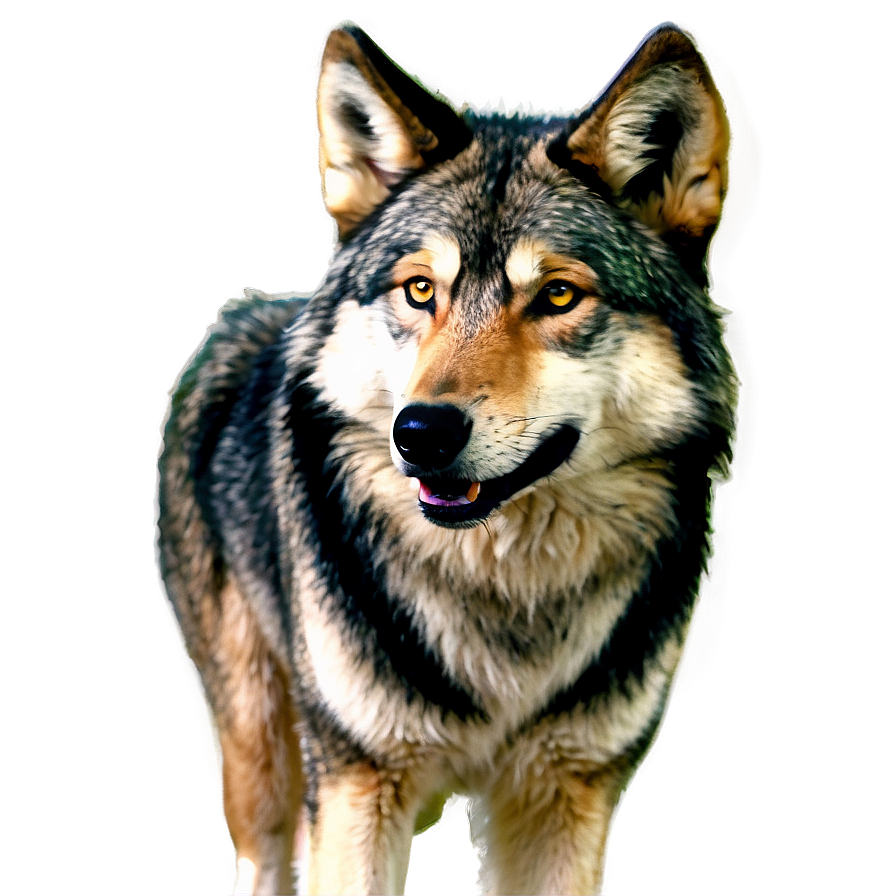 Animated Cartoon Wolf Png Eay86