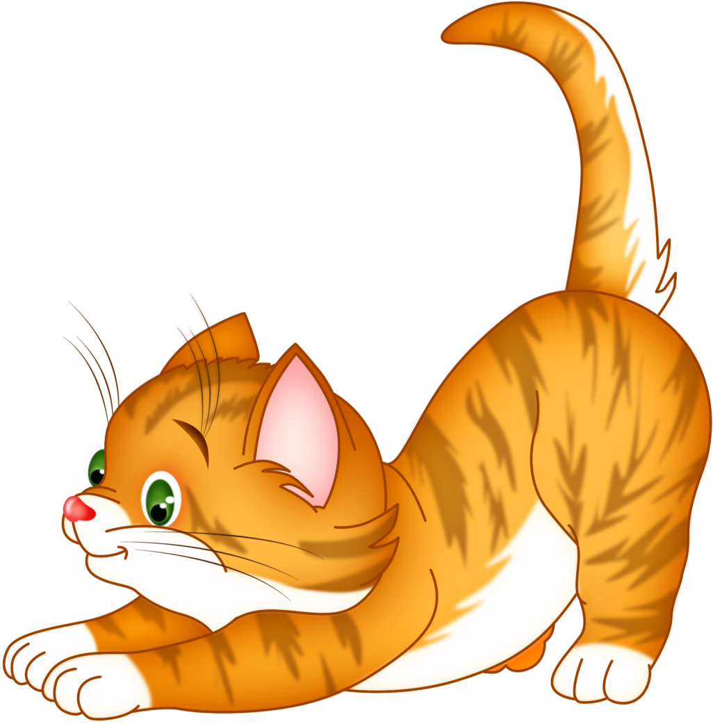 Animated Cat Stretching