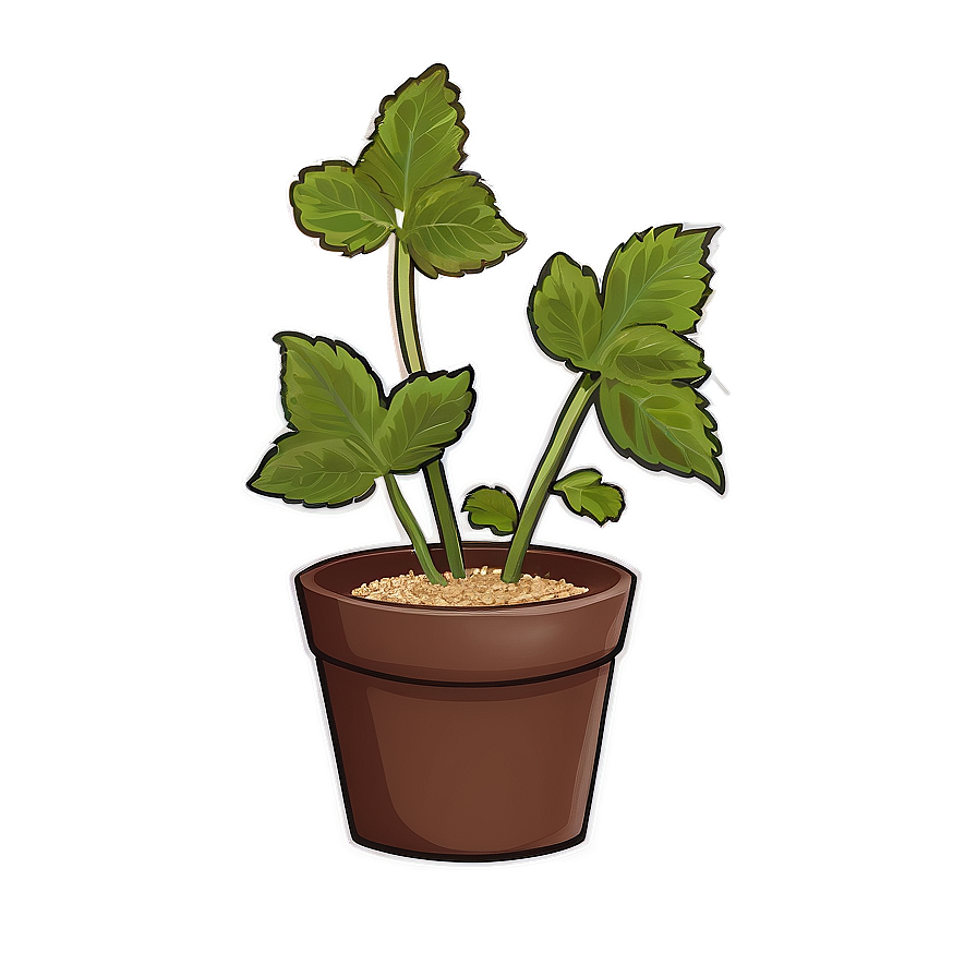 Animated Catnip Plant Png 59