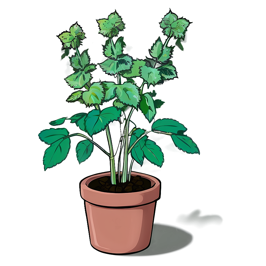 Animated Catnip Plant Png 99