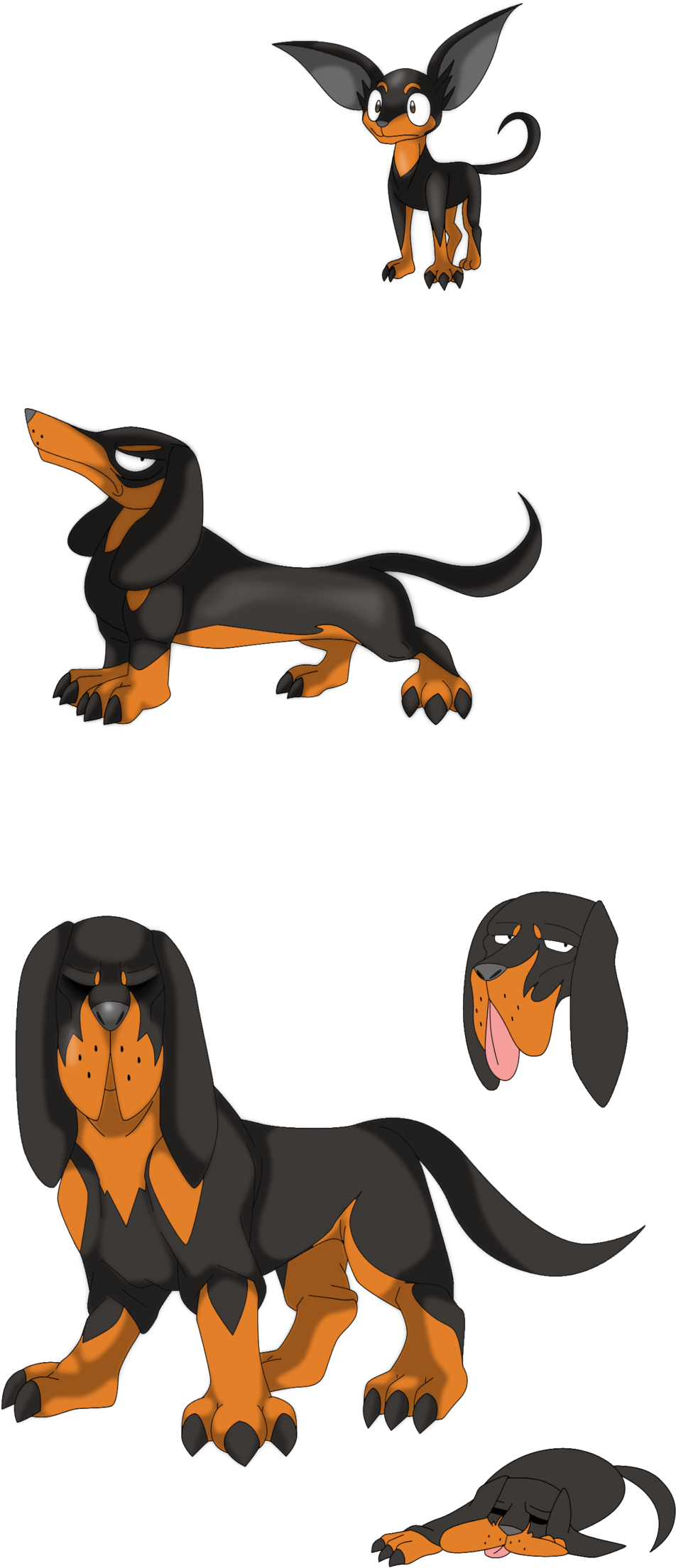 Animated Dachshund Expressions