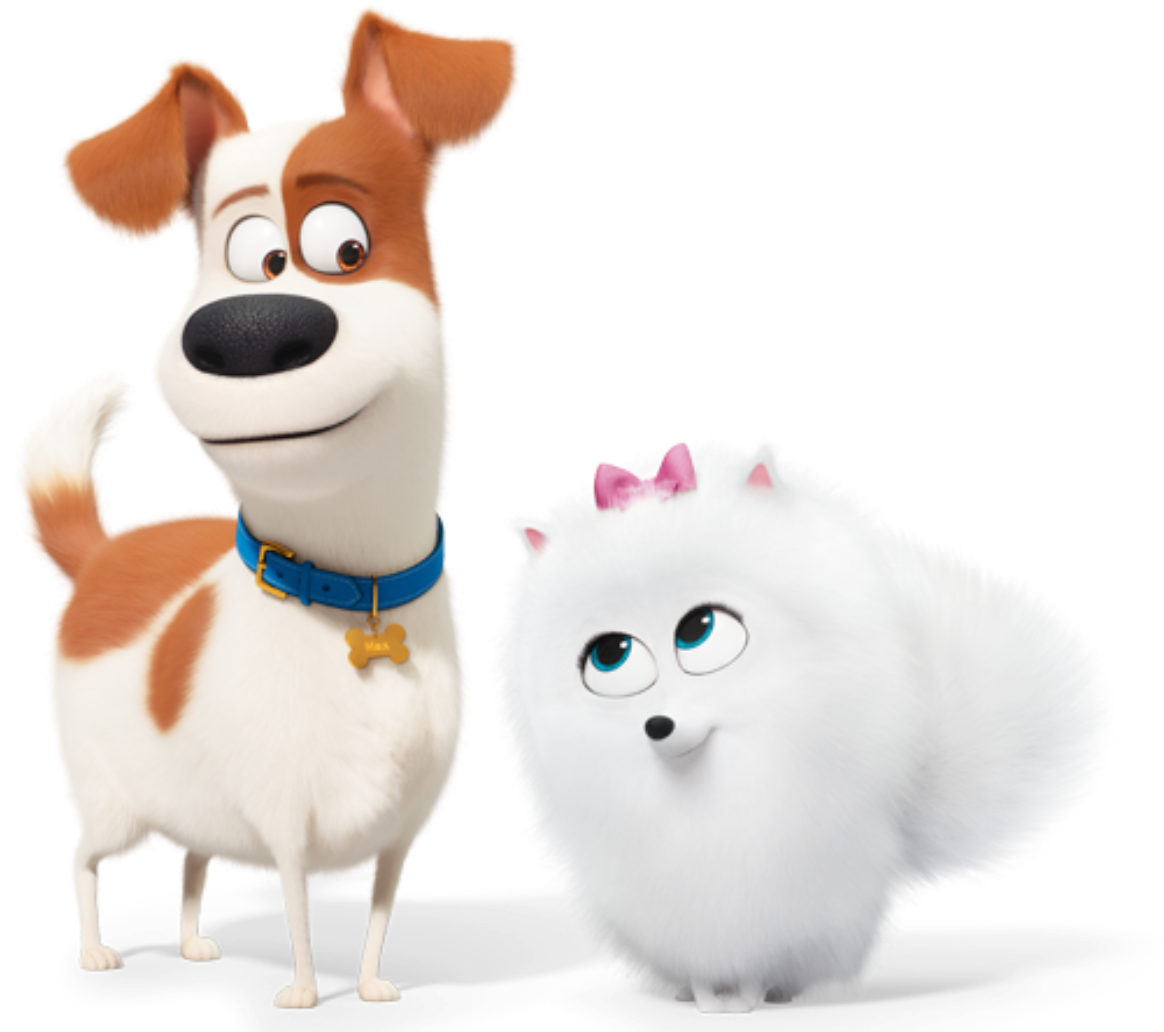 Animated Dogand Fluffy Cat Friends