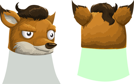 Animated Fox Character Frontand Back View