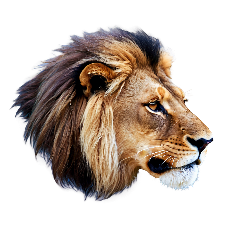 Animated Lion Face Png 06122024