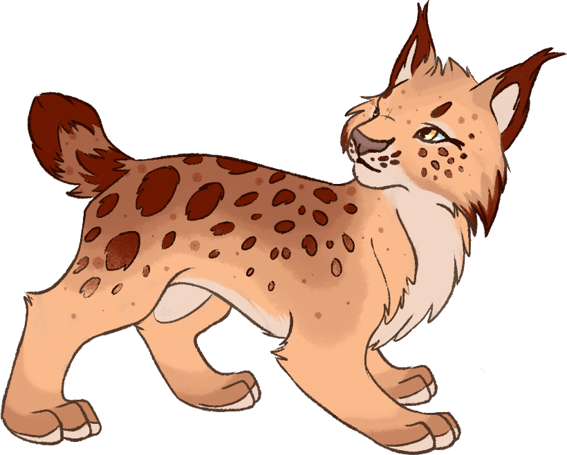 Animated Lynx Walking