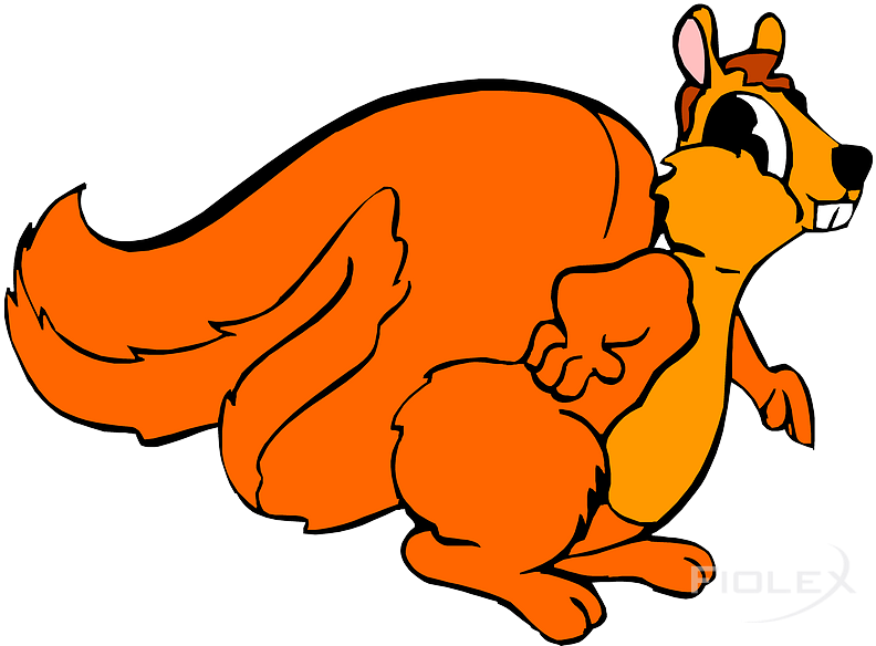 Animated Orange Squirrel Cartoon