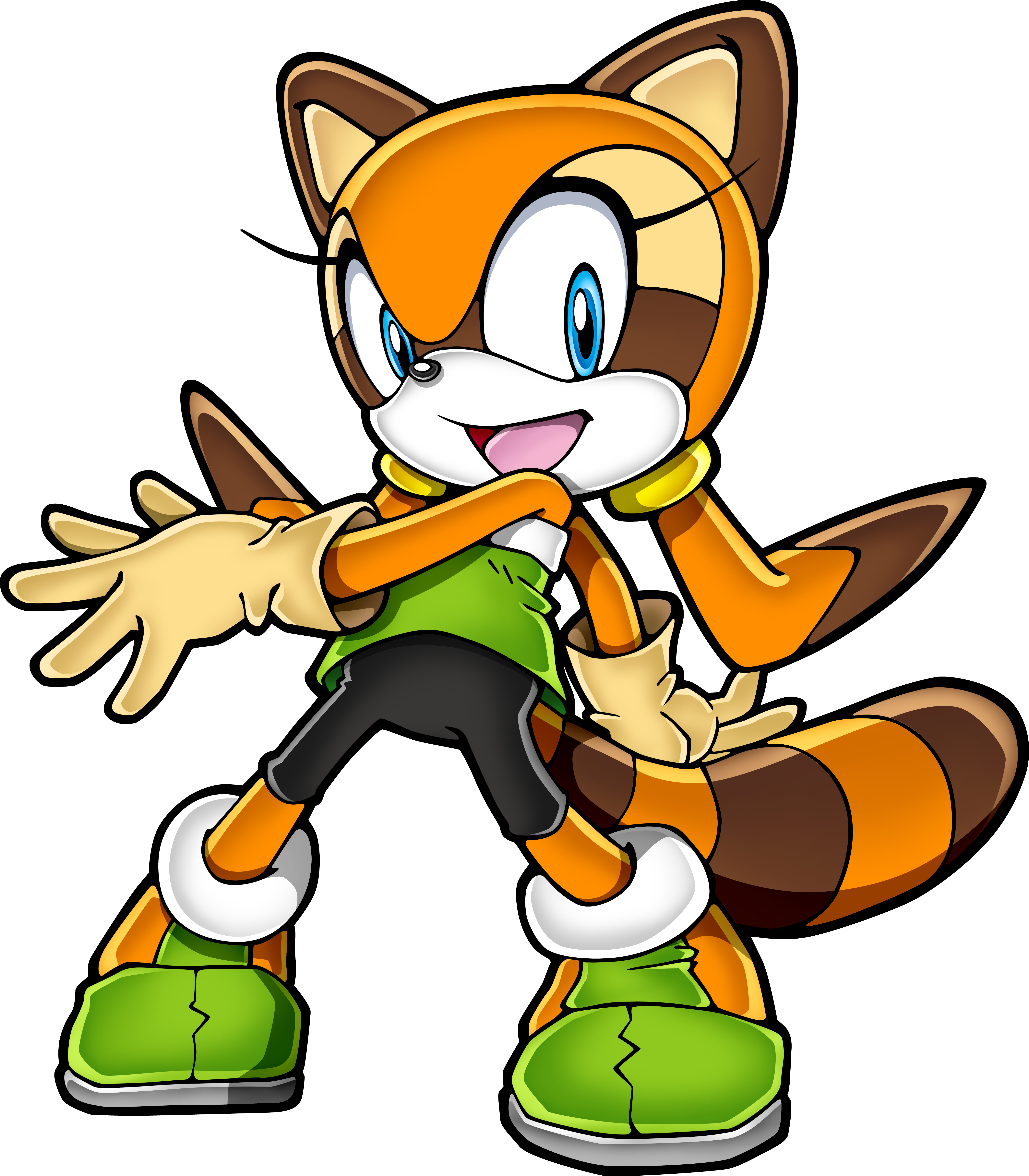 Animated Raccoon Character Pose