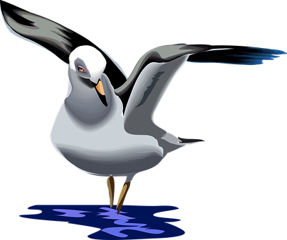 Animated Seagull Graphic