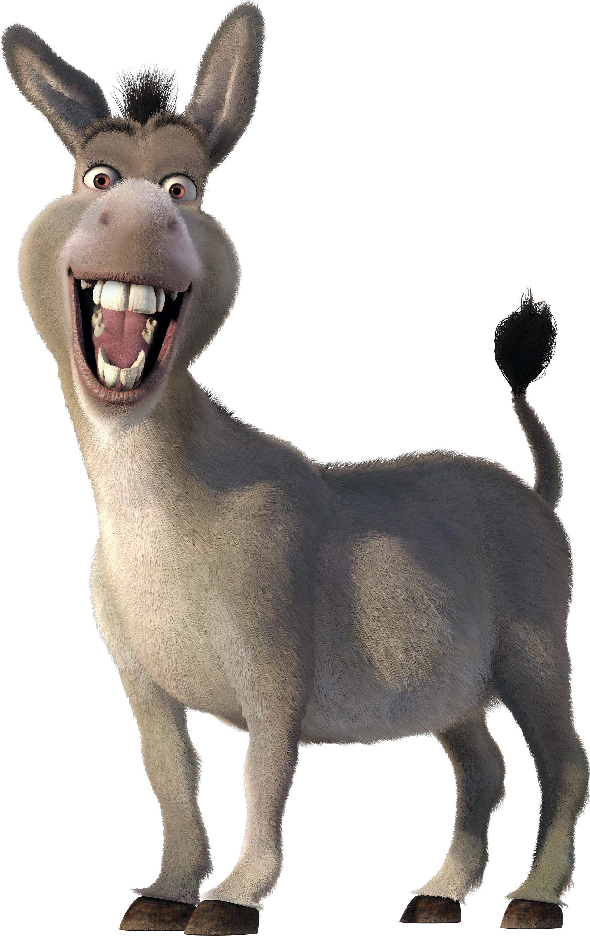 Animated Smiling Donkey