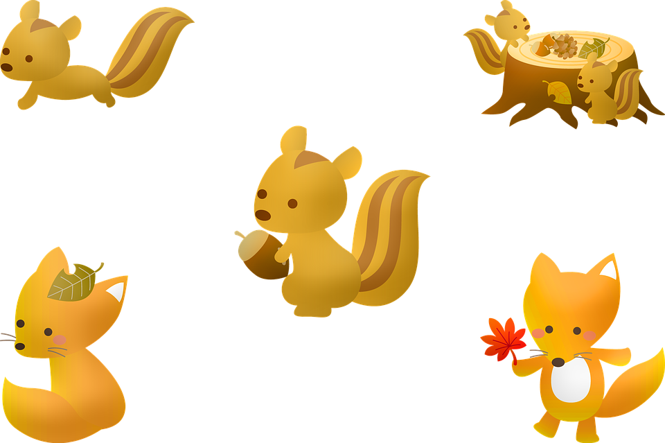 Animated Squirrel Collection