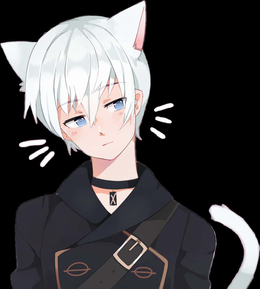 Anime Boy With White Hairand Cat Ears