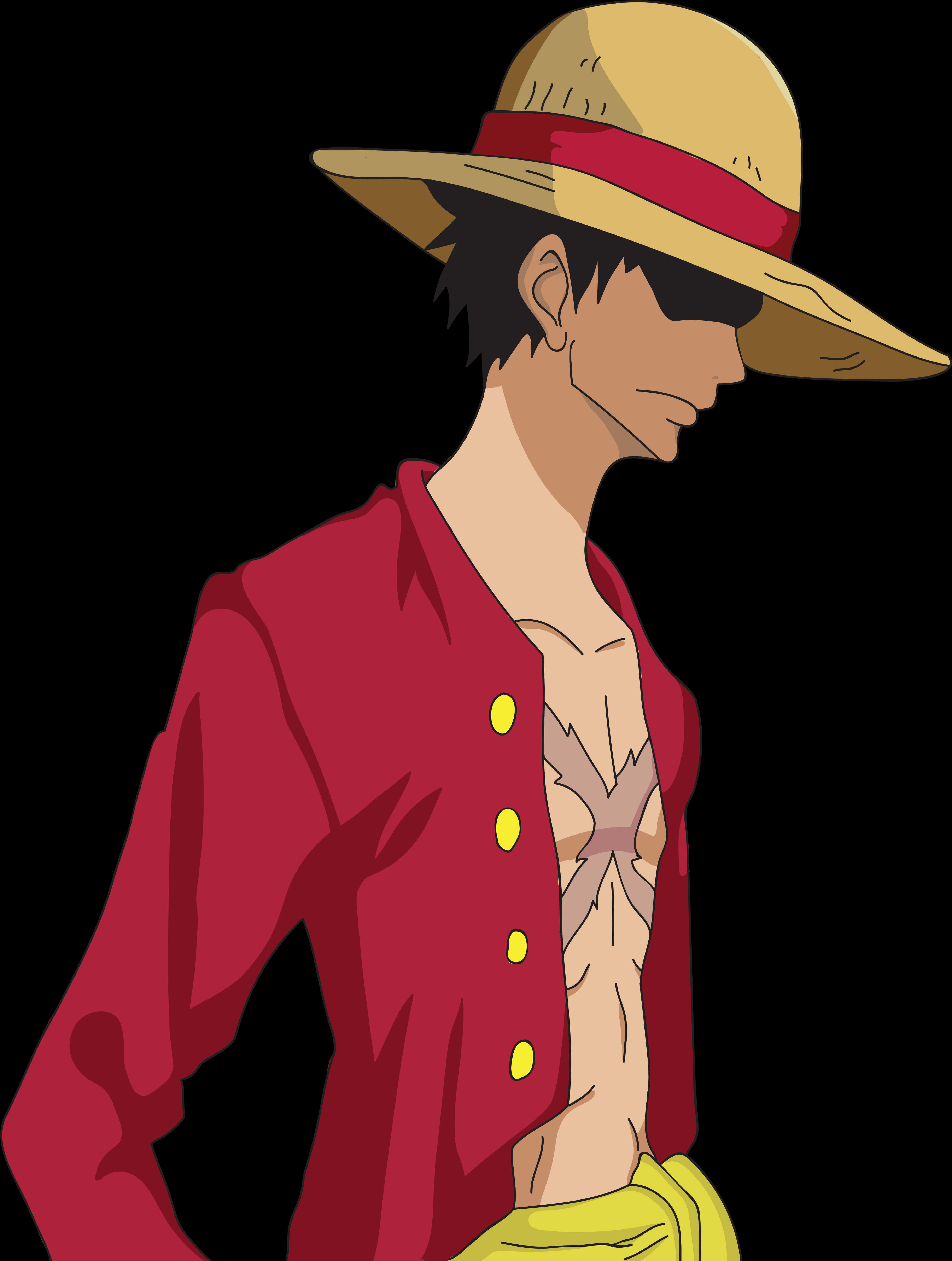 Anime Character Straw Hat Red Shirt