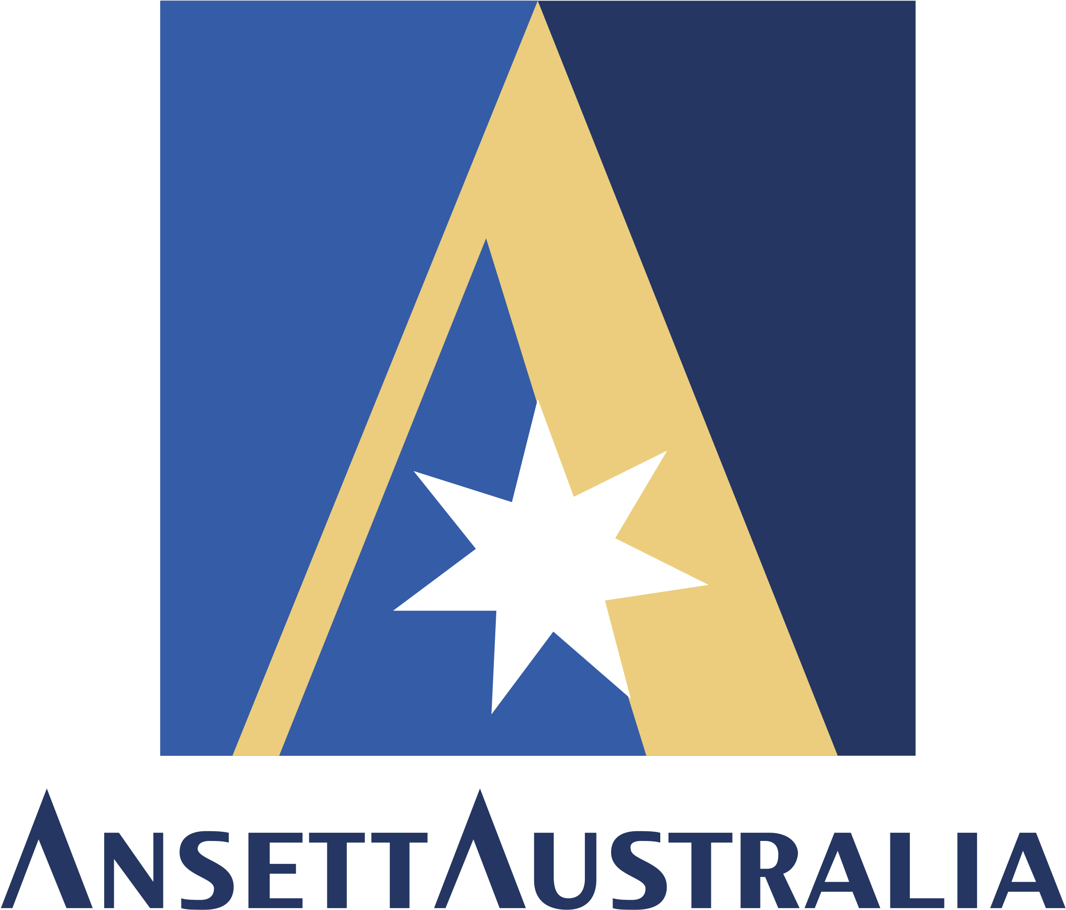 Ansett Australia Airline Logo