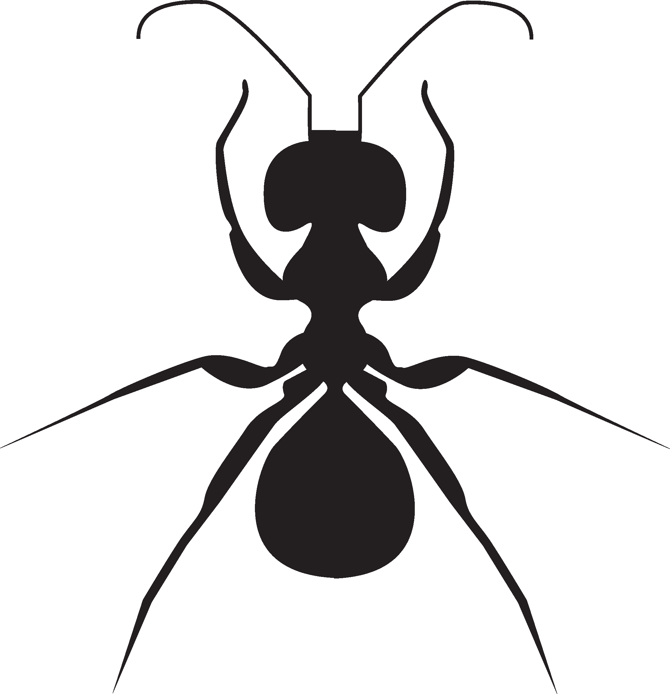 Ant_ Silhouette_ Vector_ Graphic
