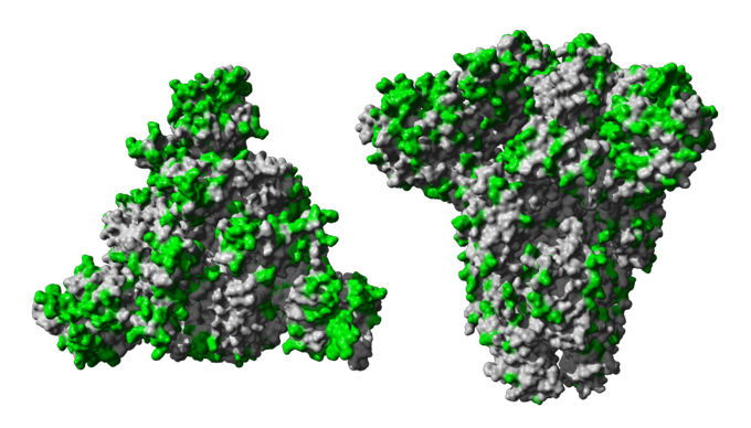 Antibody Protein Complex Visualization