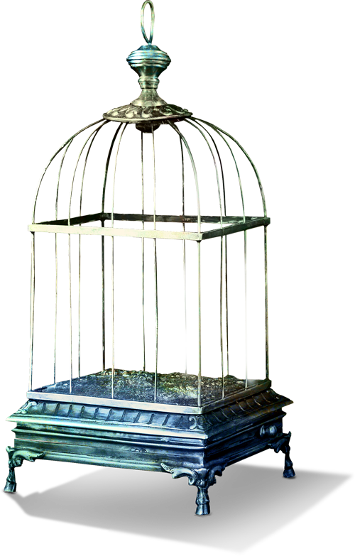 Antique Birdcage Design