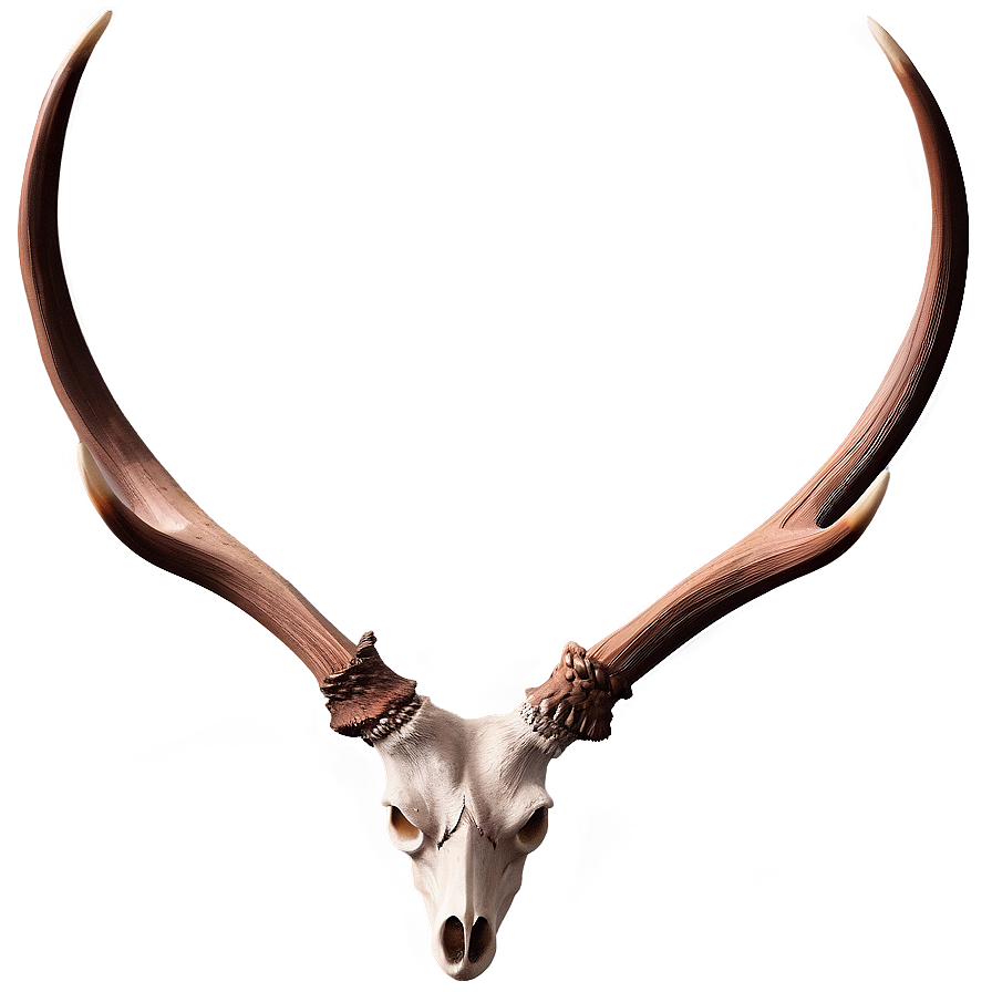 Antler Illustration Png 60