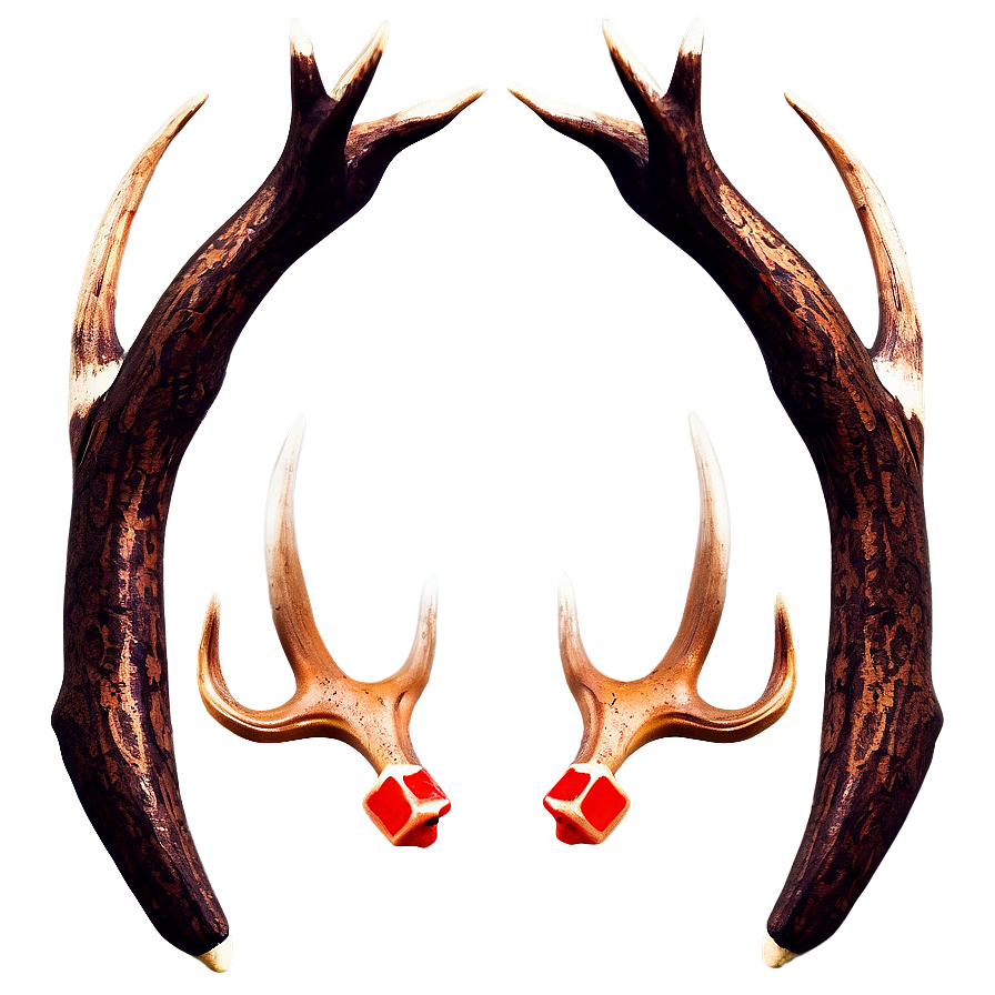 Antler Illustration Png Bha