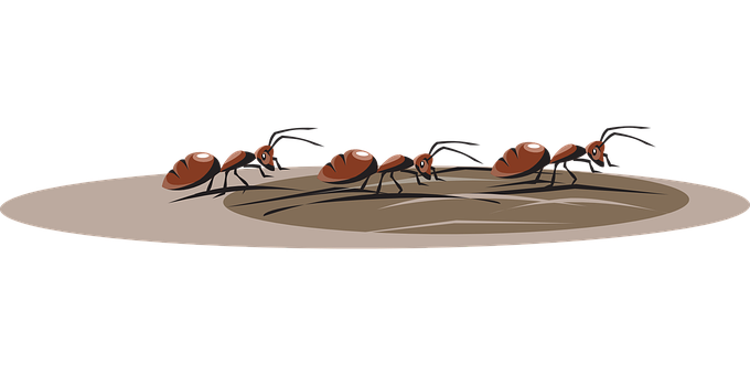 Ants_ Gathering_ Around_ Anthill_ Illustration