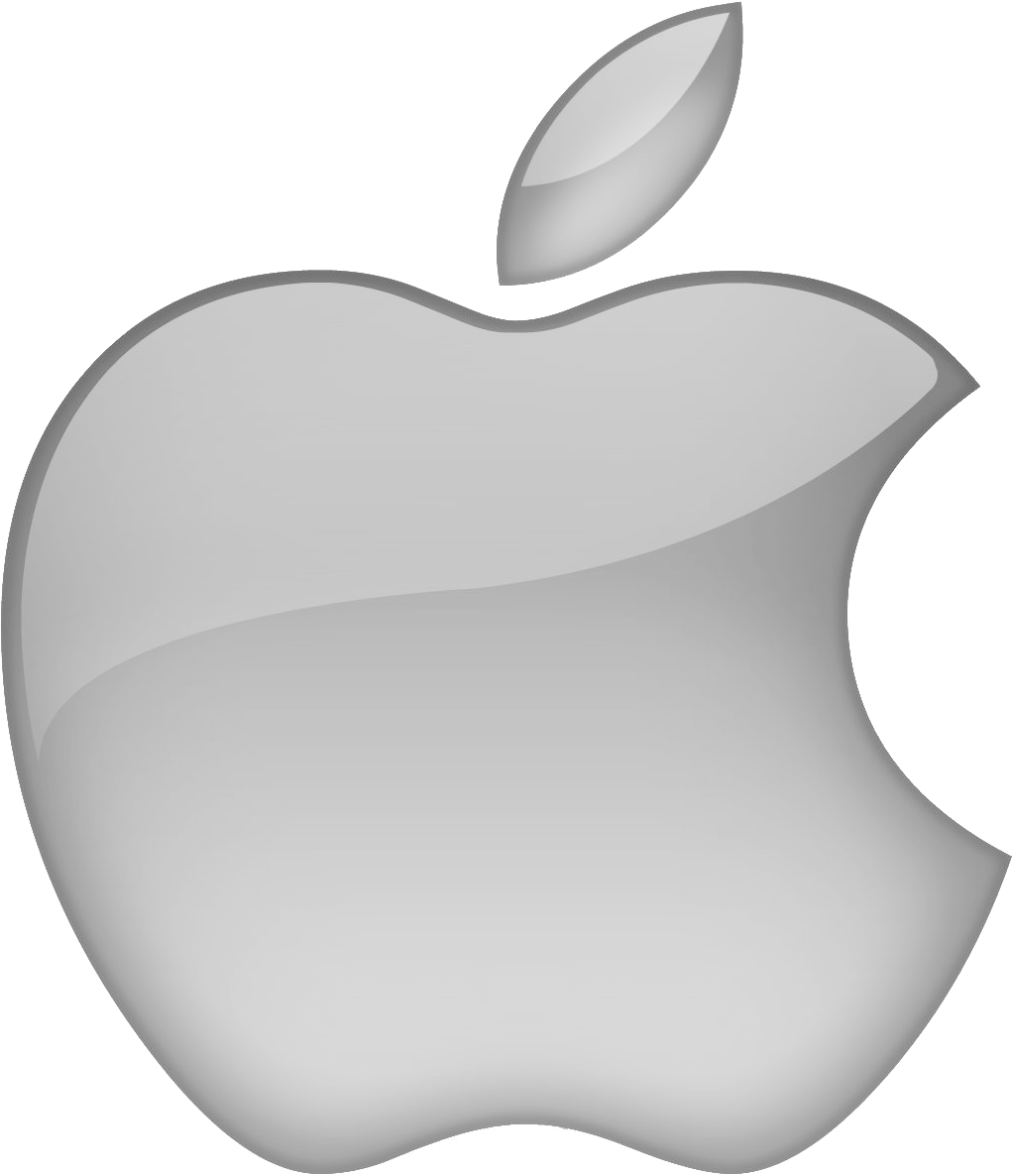 Apple Logo Icon Silver