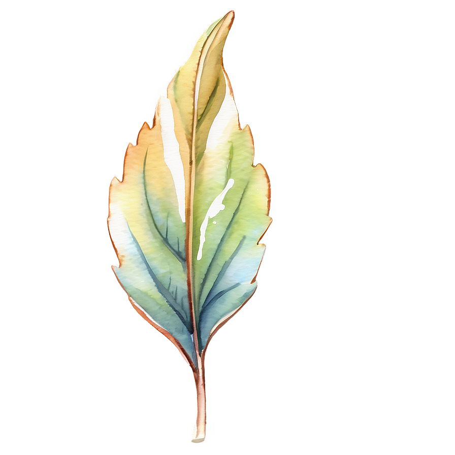 Aquarelle Leaves Png 26