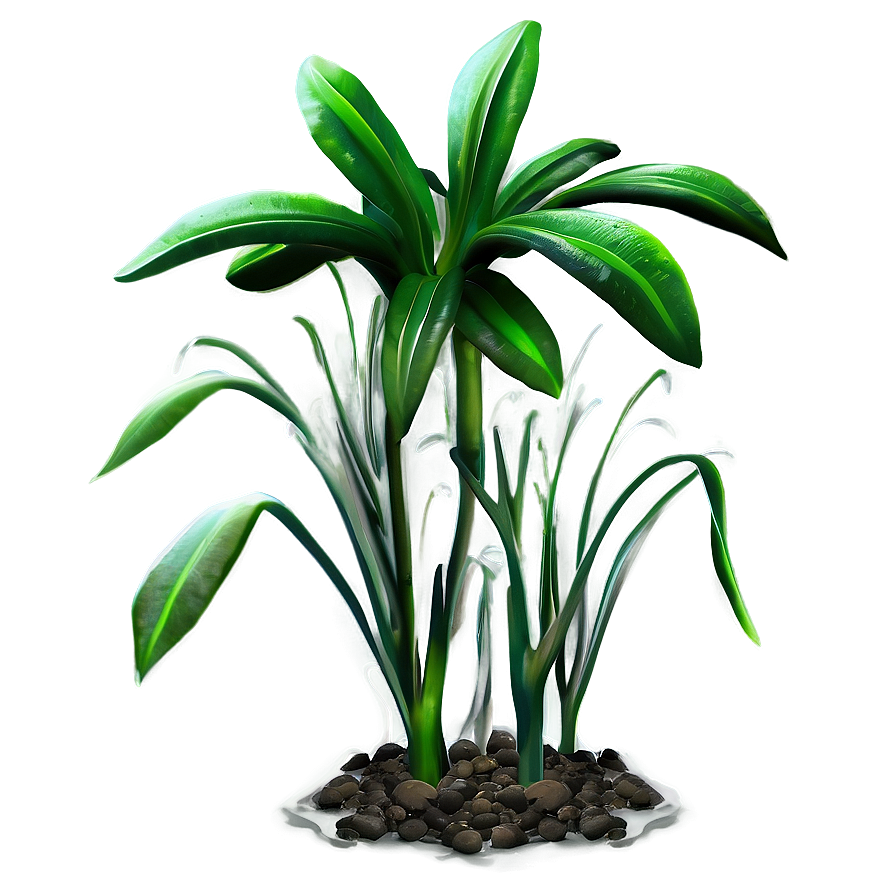 Aquatic Plant Png Faq91