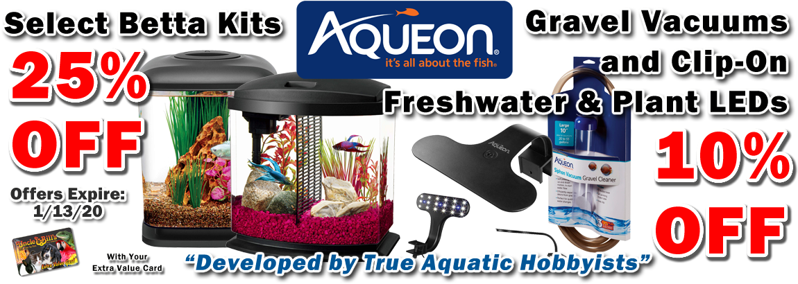Aquatic Sale Promotion Banner