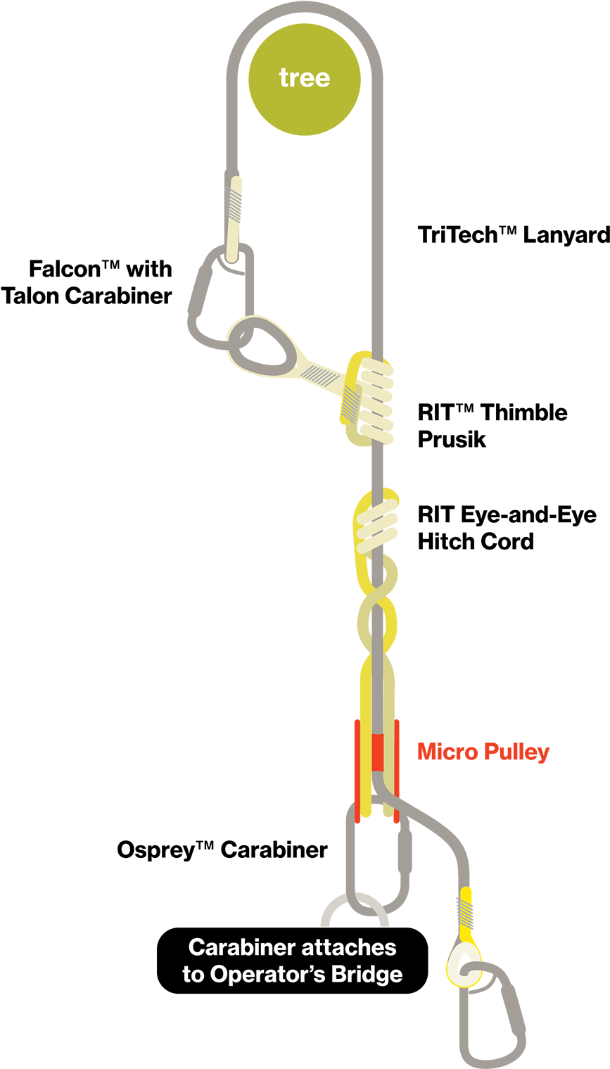 Arborist Climbing System Components