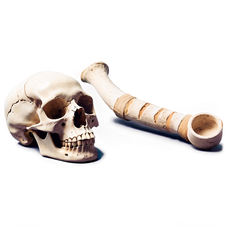 Archeological Dig Bones Png Xwn