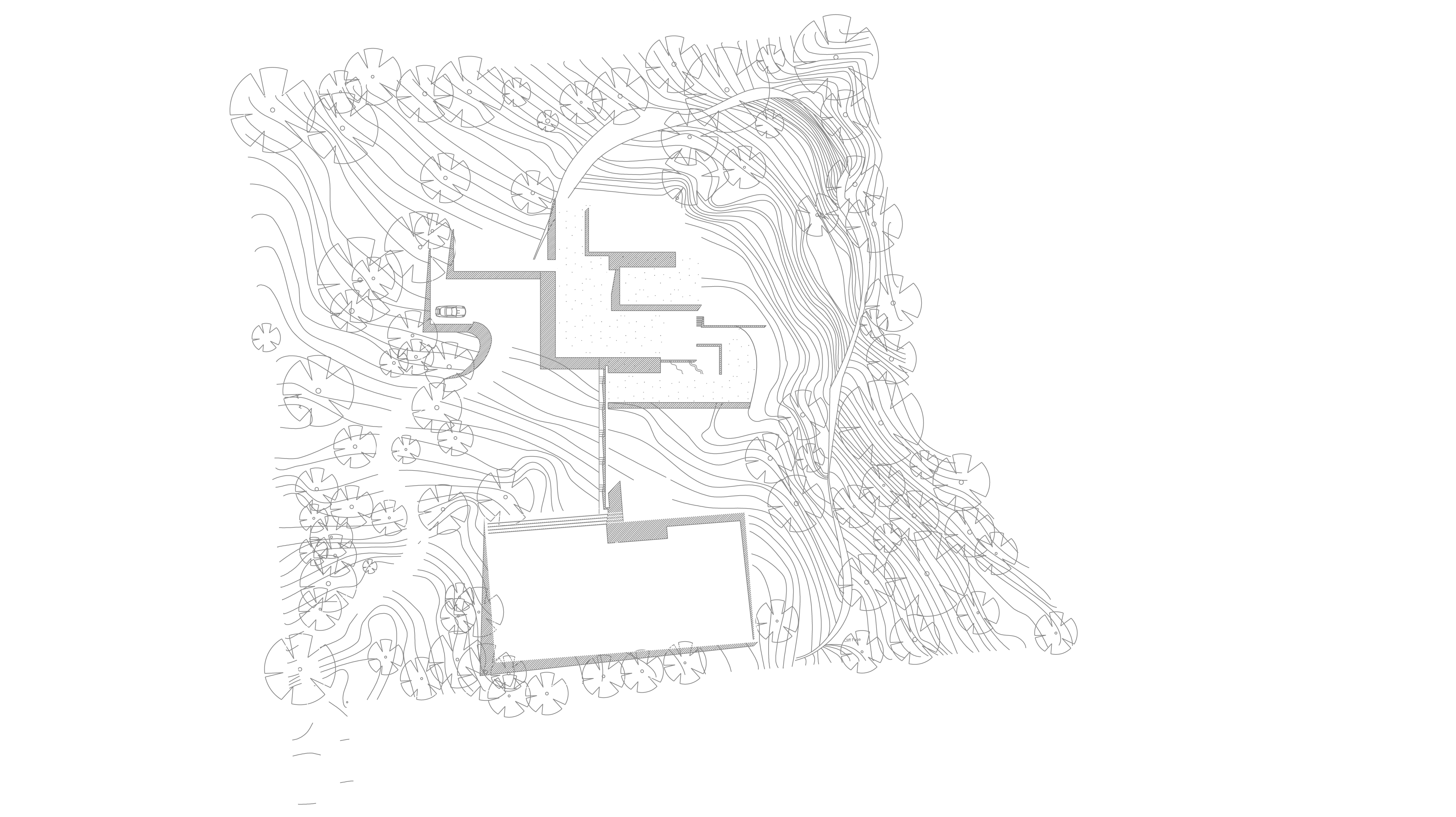 Architectural Site Plan Sketch