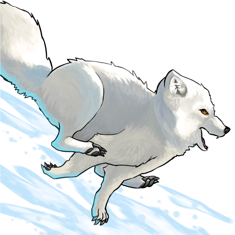 Arctic Foxin Snowy Terrain