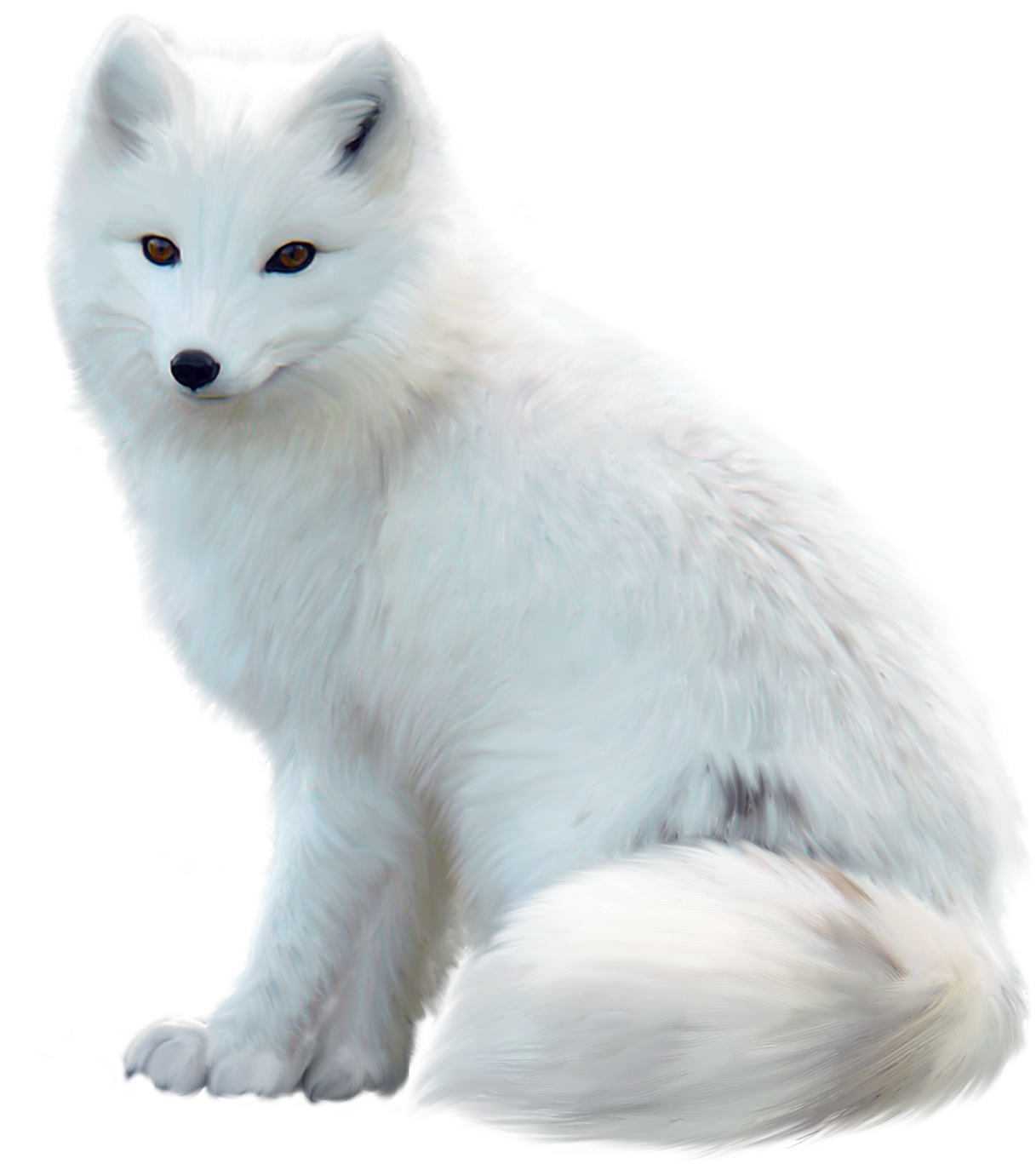 Arctic Foxin White Fur