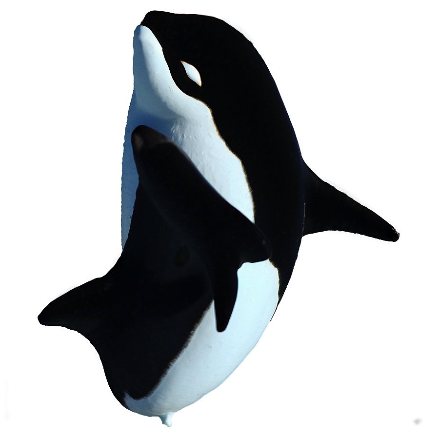 Arctic Orca Png 11